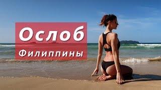 Ослоб, Себу, Филиппины| Акулы - Водопады  | Vlog 3 | FreshMania Travel