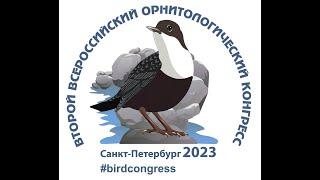 Соколиная охота и охрана хищных птиц. Второй Всероссийский орнитологический конгресс.