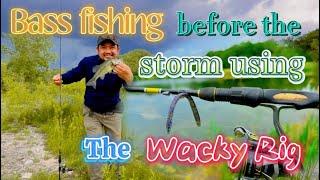 Episode 62: Bass fishing before the storm using wacky rig#bassfishinglures#lakefishing#wackyrig