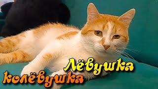 Лëвушка колëвушка.