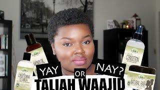 YAY OR NAY? - TALIAH WAAJID SHEA COCO LINE | CharyJay