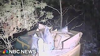 Amazon packages dumped in woods by driver who says she was too stressed