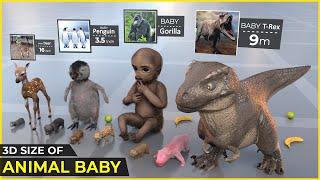 Animal Babies Size Comparison | Fictional and Animal Babies Size Comparison