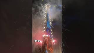 2k25#dxb #newyear #fireworks #danubedeltaguide #foryou #youtubeshorts