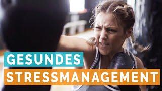 Gesundes Stressmanagement nach Lazarus Stressmodell