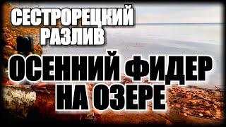 РЫБАЛКА ПОД ПИТЕРОМ.ОЗЕРО СЕСТРОРЕЦКИЙ РАЗЛИВ | ЭПИЗОД №4