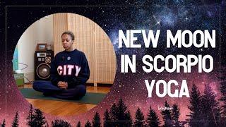 New Moon in Scorpio Yoga | 25 Minutes