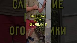 Следствие ведут огородники
