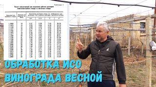 Обработка винограда ИСО ранней весной.