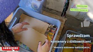 Hodowla dżdżownic. Sprawdzam kontenery z dżdżownicami żyją! :)