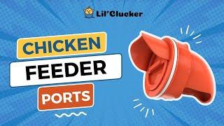 LIL'CLUCKER Easy Install #diy  Chicken Feeder Port ( Rodent Proof Chicken Feeder)