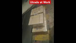 Exporting Seeds | Utrade Logistics | Airport #2024 #january #b2b #lcl