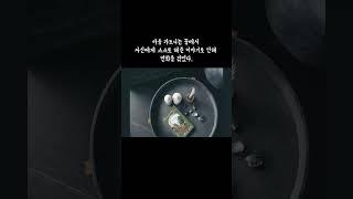 바움가트너 l 폴 오스터 l 열린책들  #폴오스터 #열린책들 #낭독 #독서 #인생책 #korean