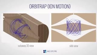 Orbitrap - Ion Motion