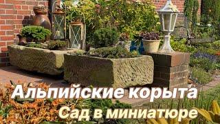 Альпийские корыта в моём саду — идеи, грунт, посадка - пошагово и с любовью