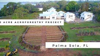 3 Acre Food Forest - Agroforestry Project Gulf Coast Florida