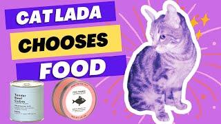 Natural Meat, Dry Food or Fluent Food? Challenge from Cat Lada