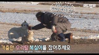 이거 놔.. 나 아빠가 알던 복실이 아니야ㅣA daughter-like dog leaves her dad at wit's end?