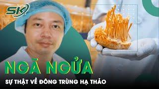 Sự Thật Khiến Người Mua Đông Trùng Hạ Thảo "Ngã Ngửa" | SKĐS