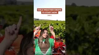 COLD WEATHER CROPS TO PLANT NOW