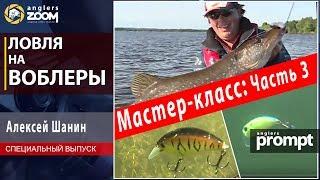 Ловля на воблеры. Мастер-класс Алексея Шанина. Часть 3. Anglers Prompt