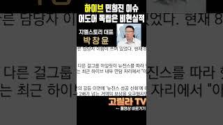 #하이브 민희진 어도어 관련 악재, 단기 급락 나왔지만 충분히 극복 가능한 악재일 수 있는 이유  #경제 #주식 #시황