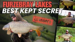 Furzebray Lakes Best Kept Secret | Furzebray Lakes | CARP FISHING in Devon | Day Tickets| Go Catch