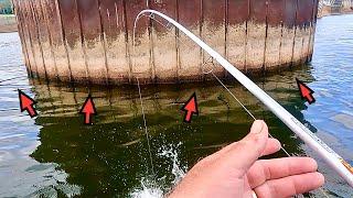 (WHEELER LAKE) Fishing below GUNTERSVILLE DAM on the TENNESSEE RIVER !!