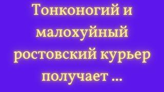 Жизненные приключения: захватывающие и душевные рассказы