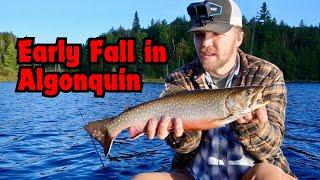 BIG BROOK TROUT FISHING - Trophy Sized Trout in Backcountry Waters