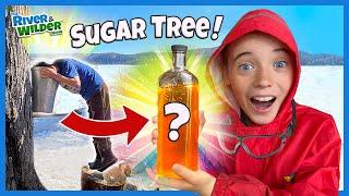 Maple Syrup Challenge!!! Kids make and eat syrup on EVERYTHING