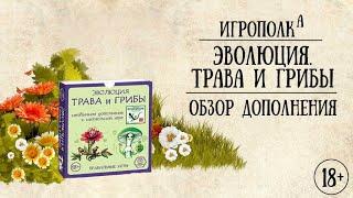 Эволюция. Трава и грибы.