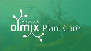 Olmix Plant Care