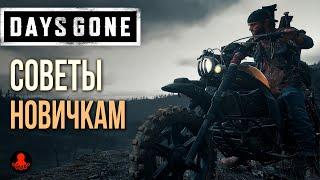 СОВЕТЫ НОВИЧКАМ Days Gone