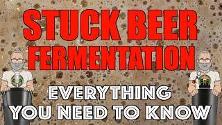 Stuck Beer Fermentation Full Guide For HomeBrewers