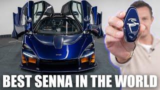 THIS IS THE BEST SENNA IN THE WORLD!