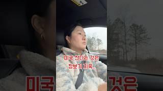 장보기 하루 최대 몇군데? 이것이 미국의 삶이다.... 찐 미국일상 미국현실 #미국주부현실#미국이민#미국살림