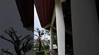 mẫu nhà miền tây mới làm xong