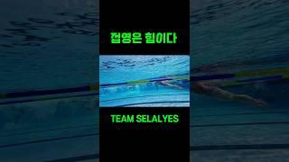접영은 힘이다 #씰예스수영훈련팀 #씰예스 #swimming #일요일아침수영 #접영 #수영훈련
