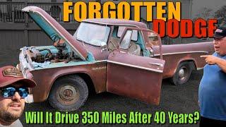 Will This FORGOTTEN Dodge Drive 350 Miles After Sitting 40 Years?