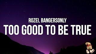 Rozei - too good to be true (Lyrics) w/ Bangers Only