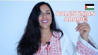 LEARN PALESTINIAN ARABIC- EVERYDAY EXPRESSIONS!