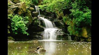 Relaxing Waterfall Sounds Soothing Meditation Calming Peaceful Sleep Therapy Zen White Noise Nature