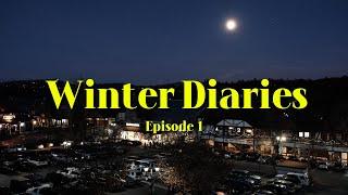 Winter Diaries Episode 1: SD Weekend trip, Cabin Trip, Friends, Food, Vibes, etc.