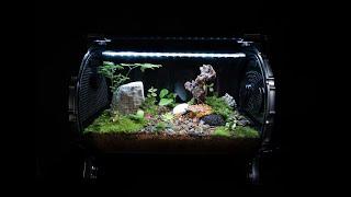 微景观玻璃容器教程｜How To Make a Terrarium: An In-Depth Tutorial