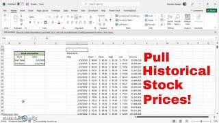 How To Use The STOCKHISTORY Function In Excel To Easily Lookup Historical Stock Prices! #stocks