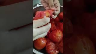 বছরজুড়ে টমেটো সংরক্ষণ করার সঠিক পদ্ধতি।#short#tomato