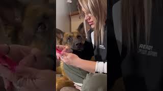 Ни за какие деньги ️