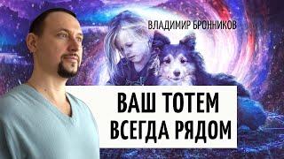 Как узнать объекты сопровождения — тотемы или ангелы-хранители человека? | Владимир Бронников