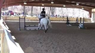 Anni Field and Rocky Jr.- Novice Fences- Goucher College- March 19th, 2017